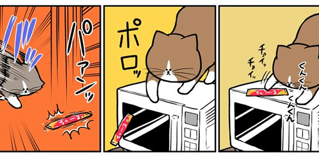 Twitter上で最も有名な猫 ぽんた と新入り子猫 アルフレッド ツイッターで話題の漫画